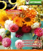 November 2021 - 19. Jahrgang