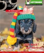 November 2020 - 18. Jahrgang